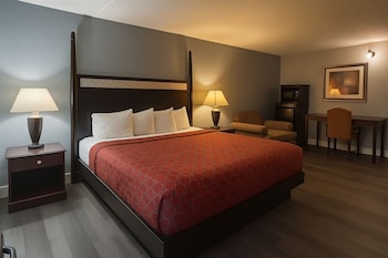 Deluxe Room, 1 King Bed, Non Smoking