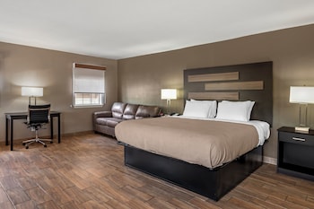 Suite, 1 King Bed with Sofa bed, Non Smoking (Efficiency)