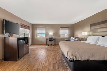 Suite, 1 King Bed with Sofa bed, Non Smoking (Efficiency)