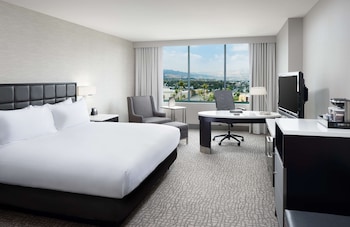 Room, 1 King Bed