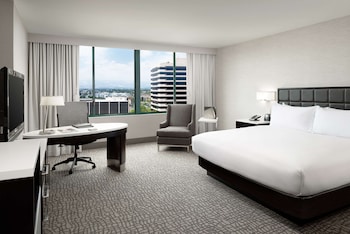 Deluxe Room, 1 King Bed (Large Room)