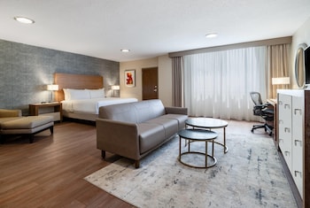 Junior Suite, 1 King Bed