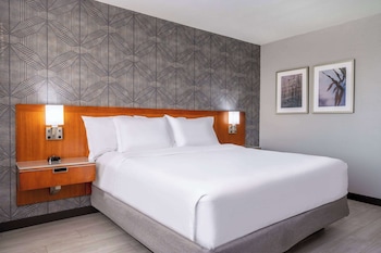 Room, 1 King Bed, Non Smoking (West Wing)