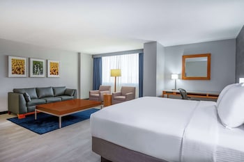Executive Suite, 1 King Bed