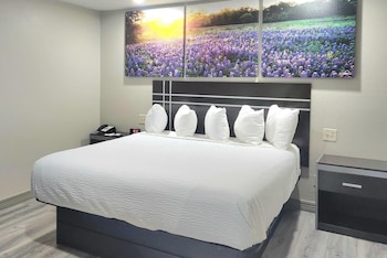 Suite, 1 King Bed, Non Smoking (One-Bedroom)