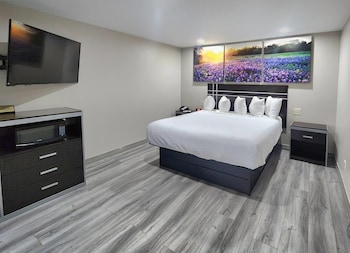 Suite, 1 King Bed, Smoking (One-Bedroom)