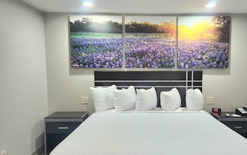 Room, 1 King Bed, Accessible, Smoking