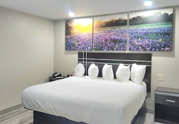 Room, 1 King Bed, Accessible, Smoking