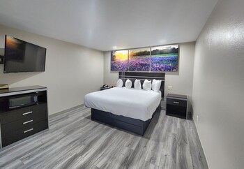 Suite, 1 King Bed, Non Smoking (One-Bedroom)