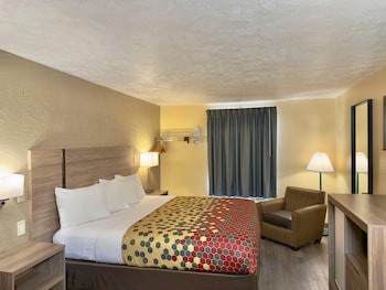 Room, 1 King Bed, Non Smoking (209082082)