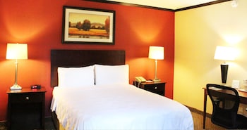 Room, 1 Queen Bed, Accessible