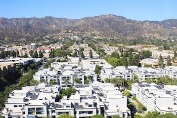 Room, 1 King Bed, Mountain View