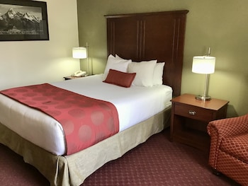 Room, 1 Queen Bed, Accessible, Non Smoking (Mobility,tub w grab bars)