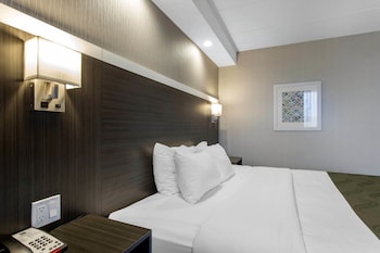 Standard Room, 1 King Bed, Non Smoking