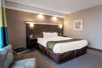 Standard Room, 1 King Bed, Non Smoking