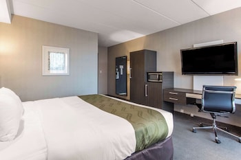 Standard Room, 1 King Bed, Non Smoking