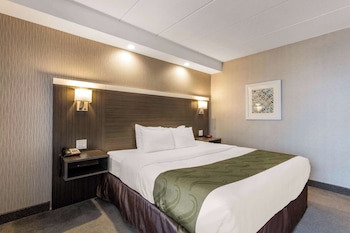 Standard Room, 1 King Bed, Non Smoking
