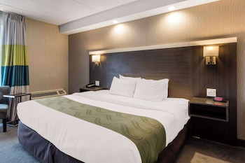 Standard Room, 1 King Bed, Non Smoking