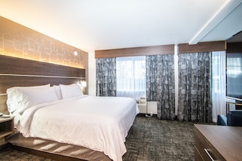 Standard Room, 1 King Bed, Accessible Bathtub (Mobility)
