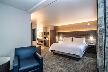 Suite, 1 King Bed