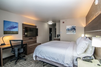 Standard Room, 1 King Bed, Accessible Bathtub (Mobility)