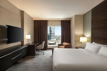 Suite, 1 King Bed