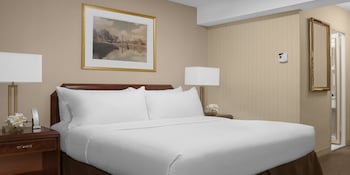 Standard Room, 1 King Bed, Accessible Bathtub (Mobility)