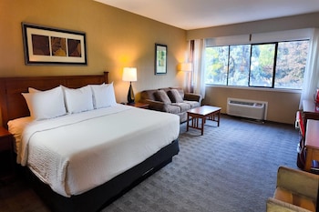 Business Room, 1 King Bed, Non Smoking