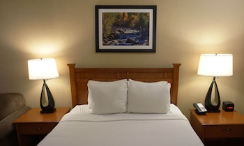 Room, 1 Queen Bed, Accessible, Non Smoking (Mobility, Tub w/ Grab Bars)