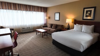 Business Room, 1 Queen Bed, Non Smoking