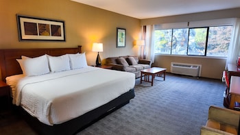 Business Room, 1 King Bed, Non Smoking