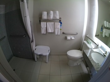 Room, 1 King Bed, Accessible, Non Smoking (Mobility/Hearing, Roll-In Shower)