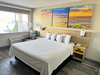 Room, 1 King Bed, Accessible, Non Smoking (Mobility/Hearing, Roll-In Shower)