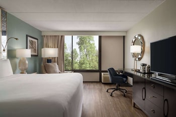 Room, 1 King Bed, Accessible, Non Smoking