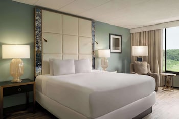 Room, 1 King Bed, Non Smoking