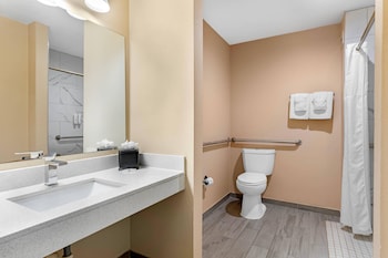 Suite, 1 King Bed with Sofa bed, Accessible, Non Smoking