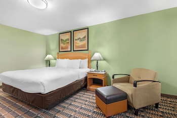 Standard Room, 1 King Bed, Non Smoking