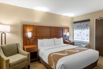 Room, 1 King Bed, Non Smoking