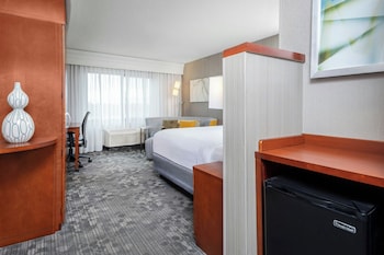Room, 1 King Bed with Sofa bed