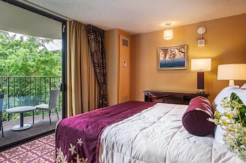 Junior Suite, 1 King Bed, Non Smoking (1 Bedroom, Banyan View)