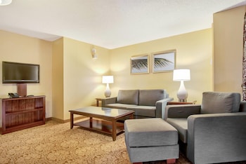 Junior Suite, 1 King Bed, Non Smoking (1 Bedroom, Banyan View)