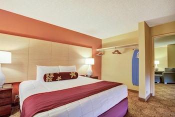 Junior Suite, 1 King Bed, Non Smoking (1 Bedroom, Banyan View)