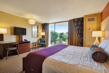 Room, 1 King Bed, Mobility Accessible, Non Smoking (Hearing,Roll-inShower,BanyanView)