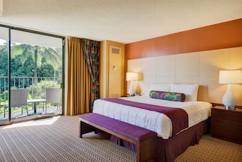 Room, 1 King Bed, Non Smoking (Banyan View)