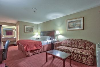 Room, 1 King Bed, Non Smoking