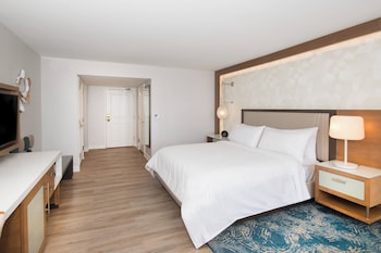 Room, 1 King Bed (Mobility Accessible, Roll-In Shower)