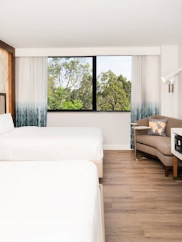 Room, 2 Queen Beds