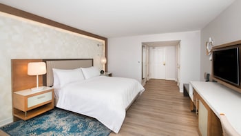 Room, 1 King Bed (Mobility Accessible, Roll-In Shower)