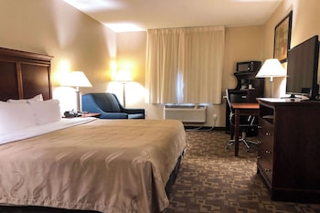 Business Room, 1 King Bed with Sofa bed, Non Smoking