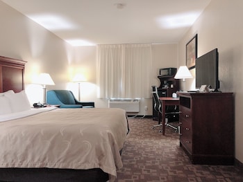 Business Room, 1 King Bed with Sofa bed, Non Smoking